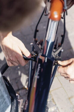 Abus Adaptor Chain Ach Ivy 6KS Chaîne De Verrouillage De Cadre -Vélos Équip Magasin 4003318684579 ABUS AdaptorChain AchIvy 6KS Rahmenschlosskette 3