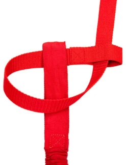 Sangle à Dégagement Rapide Pour Harnais TowWhee 11 Sangle à Dégagement Rapide Pour Harnais TowWhee -Vélos Équip Magasin TowWhee QuickRelease QR RED 052NUtIx3ZNI0BmK